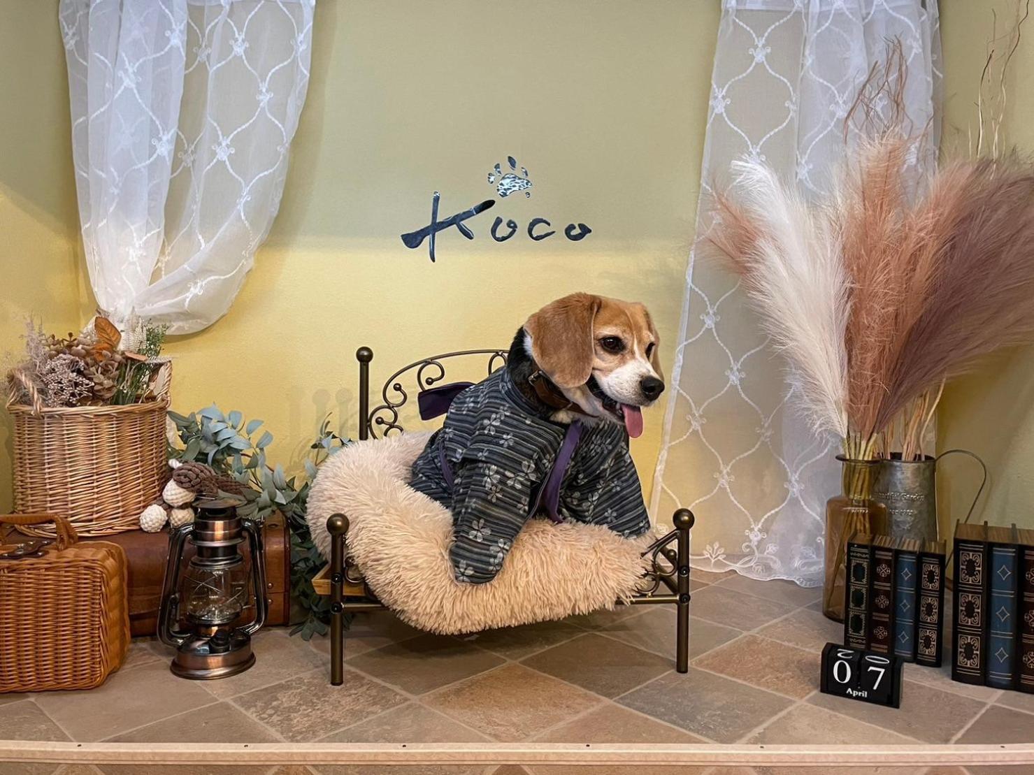 Koco伊豆高原 Villa Itó Kültér fotó